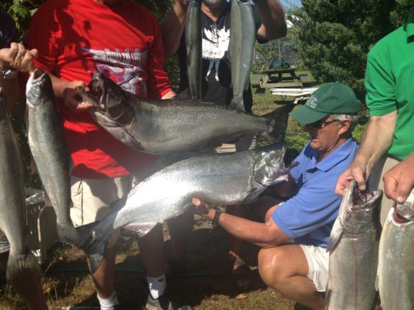 Fish4al's tweet image. Slow pick but worth the wait today