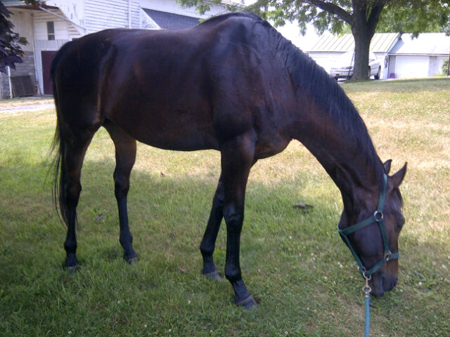 Missing my little man already and I haven't even left yet! :-( http://t.co/DGAYFhM7<a href="/tag/newride"class="tags"><span>#newride</span></a>