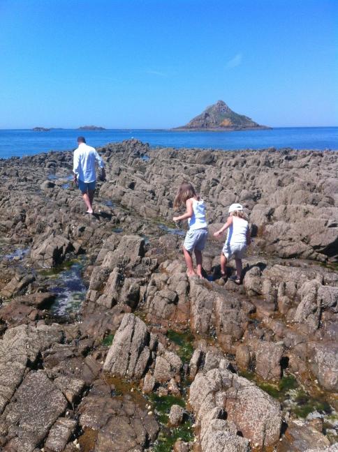 Musslor i Bretagne