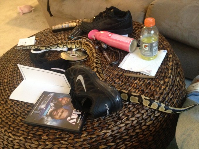 http://t.co/EmKJYYpb<a href="/tag/laconfidential"class="tags"><span>#laconfidential</span></a>