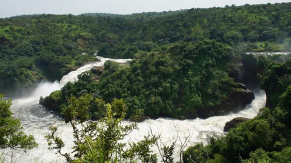 go_organic_org's tweet photo. Murchinson Falls http://t.co/z36Jb98p