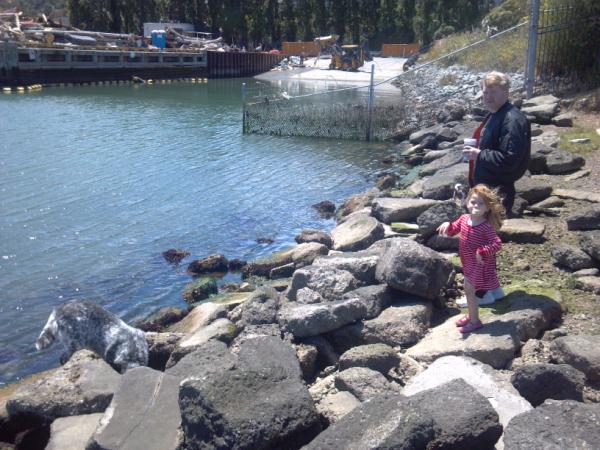 MissySB's tweet image. It is a very nice day for skipping stones and staring at crabs. #notrobots