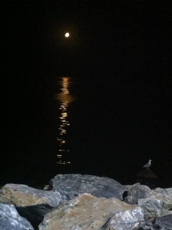 Check out this photo! (shared via <a href="/pixable/">Pixable</a>)