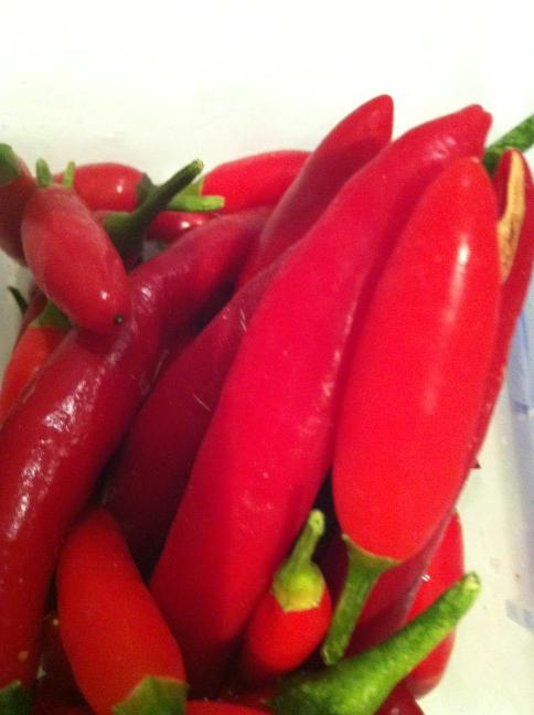 PaulDANicholson's tweet photo. Chilli! Crucial on a Sunday pizza http://t.co/YJR1mbCV