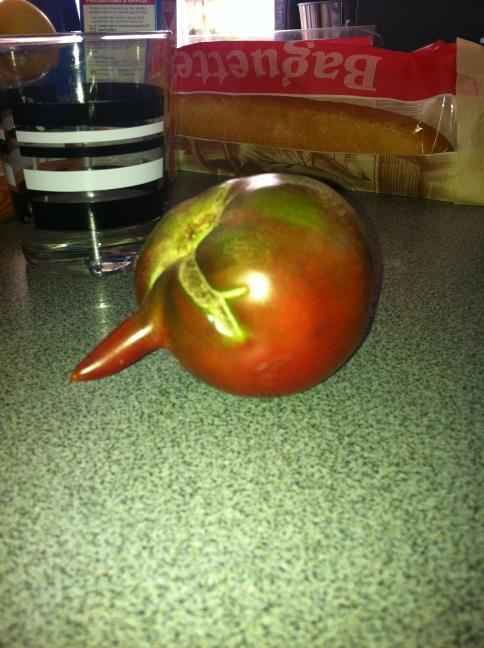 lac_de's tweet photo. “@max_boublil: Vous avez deja vu une tomate avec un zizi ? La voilà ( oui j'ai 8 ans) http://t.co/gT6cnVkg” ENOOOOOORME