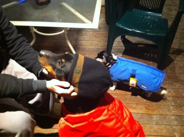 PHethorn's tweet image. 