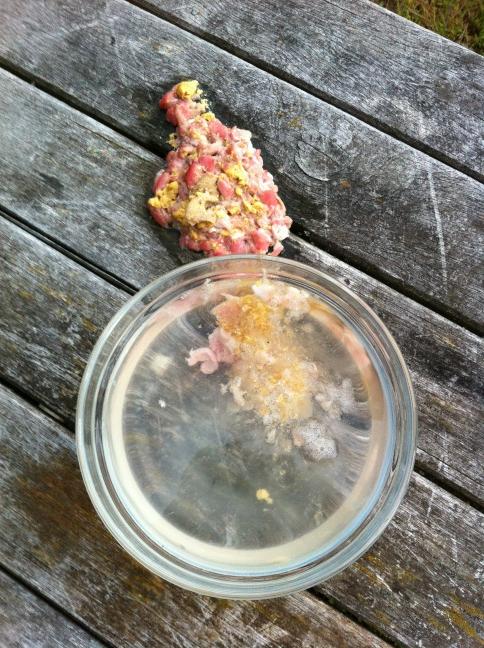 Neighbour's cat dropped by to drink from our cat's bowl. Left a parting gift. #disgusting