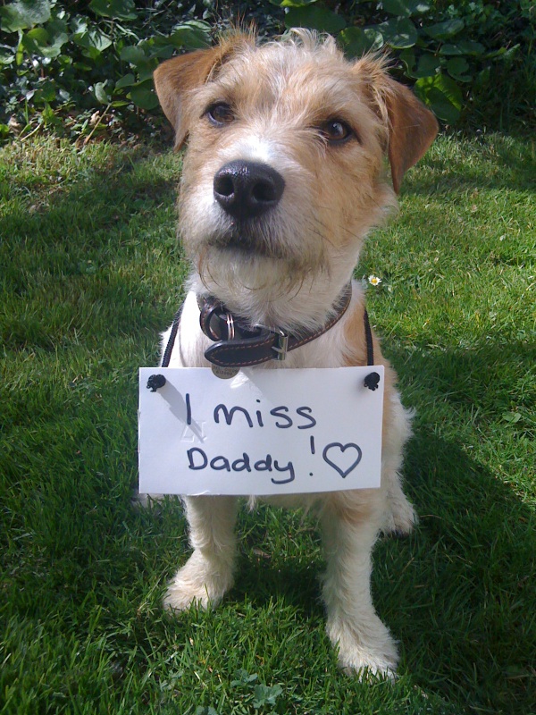 DT COACHING (@tremainedavid) on Twitter photo 