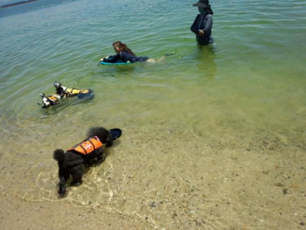 adogcojp's tweet photo. 琵琶湖なう♪♪ http://t.co/2UEbUqX5