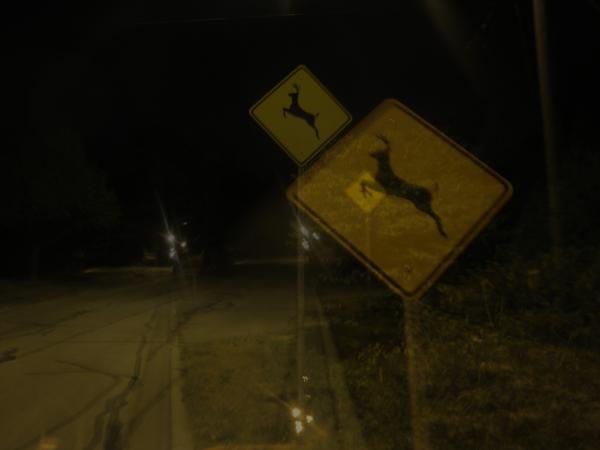 Lungbasket tweet media