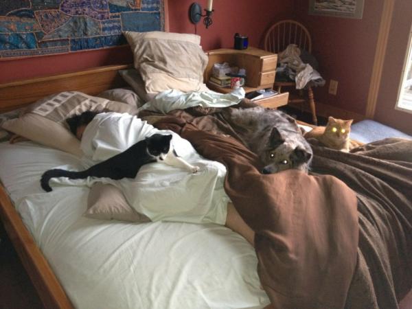 Ianbrucelovell's tweet photo. Not a lot of room left http://t.co/5BG7oNDZ