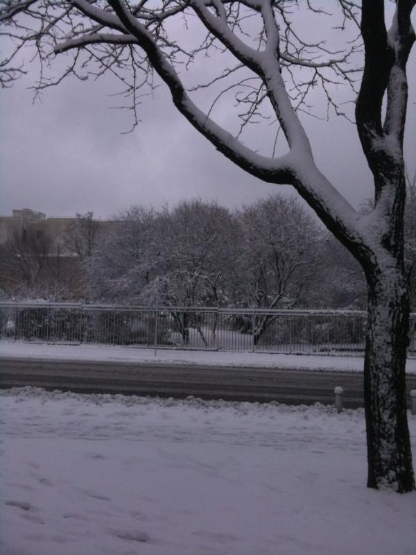 GeorgeRio's tweet image. You must YOURSELF be the change before the world you seek around you!! I have done well with said picture..#AmexShell