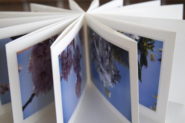 doreenk's tweet image. Now open: Mono Now Aware exhibition at the National Botanic Gardens, Glasnevin. #PIF12