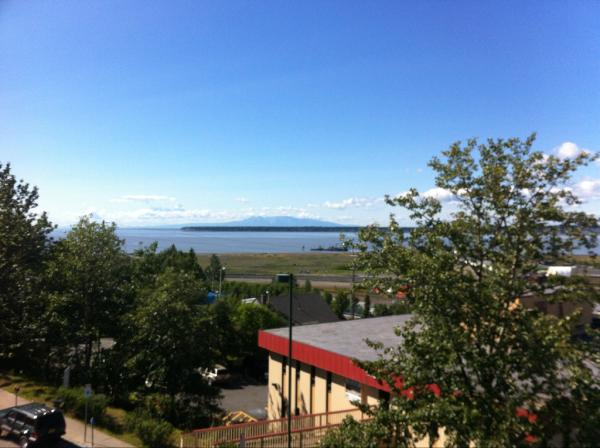 Snow Goose tweet media