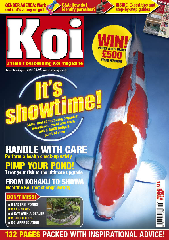 Koimag's tweet image. Issue 176 of Koi is in the shops now – all 132 pages of it! #Koi #Koimag