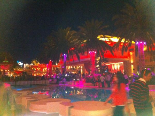 RealMoeChedda's tweet image. Pa la pinga. Party like I&apos;m at home. #RobotEars