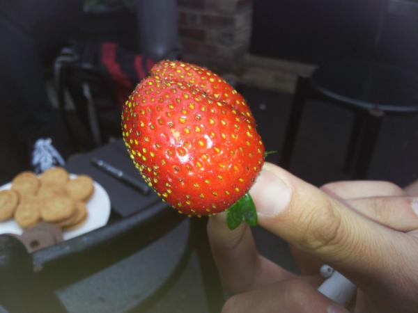cityscapesUK's tweet photo. Urban edibles - first strawberry @GibbonsRent and a fine prize winning size at that! (as well as rather tasty) http://t.co/5KUmdGpJ