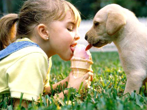 #DidYouKnow... 1 out of every 5 ice cream eaters share the delicious treat with their pet..
RT if you agree...