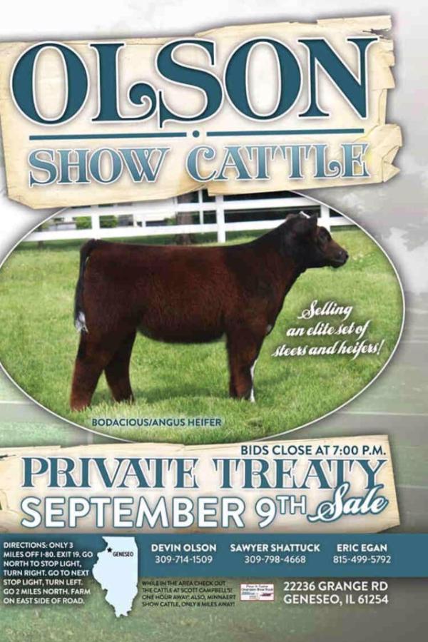 #bodacious raised by #devinolson-Illinois <a href="/MLCBoutique/">MLCBoutique </a> <a href="/bannerchasing/">Banner Chasing</a> <a href="/StockshowWonka/">Stockshow Wonka</a> <a href="/KevinMears/">Kevin Mears</a> <a href="/KaseyPetzold/">Kasey Petzold</a>