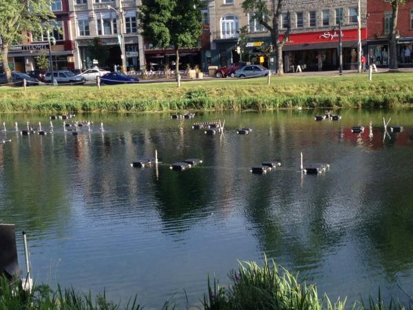 Le théâtre d'eau <a href="/Ohneka/">OHNEKA</a> ce soir. Les jets semblent prêts... <a href="/Valleyfield_ca/">Ville Valleyfield</a>