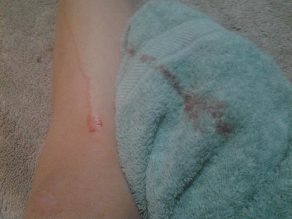 samanthameii's tweet image. #Drunktips don't shave your legs