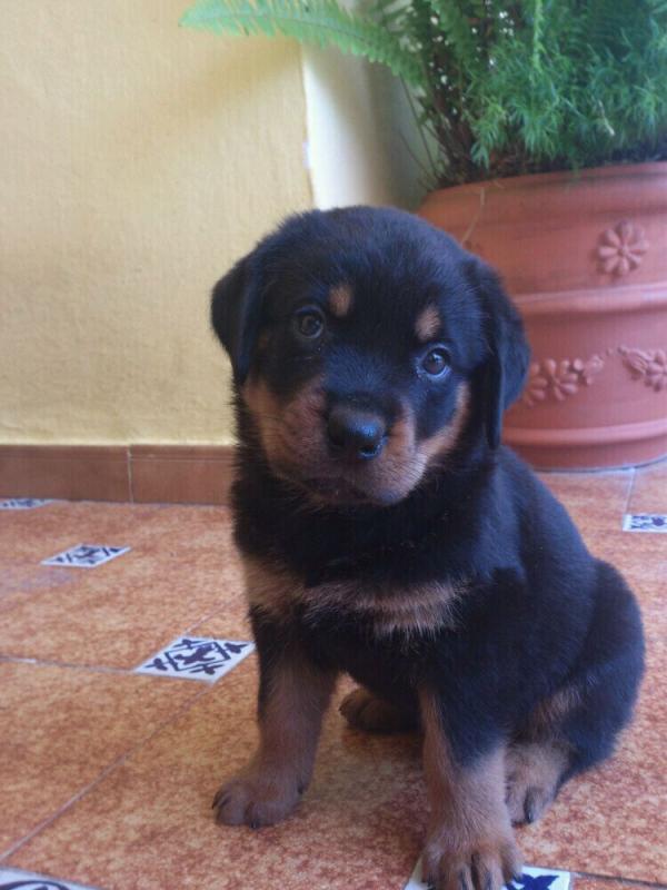 s (@sergiobaena3) on Twitter photo 