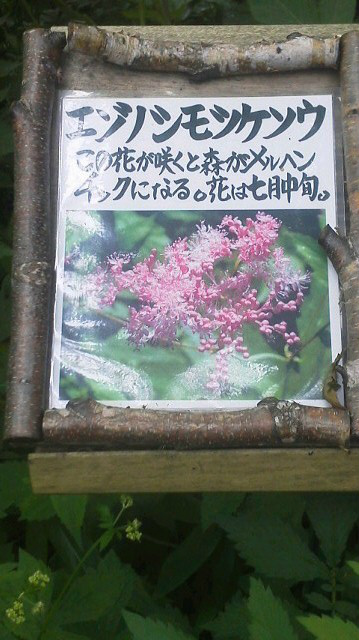 MforestInfo's tweet photo. おはようございます！エントランスフォレストは、
今、メルヘンです！！ http://t.co/7zNWcZCY