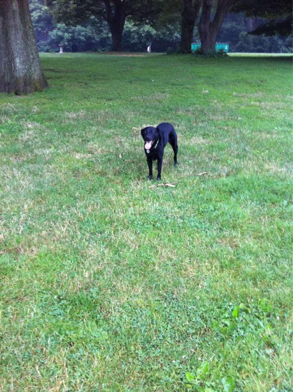 Aydin Benoit tweet media