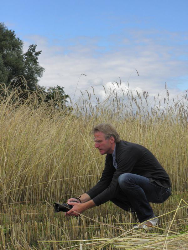 Generatoren's tweet photo. @AlphonsWeierink  in actie bij het rogge maaien http://t.co/OUkjJttl