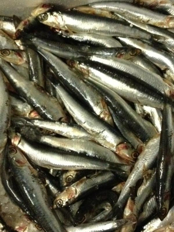 ChefMBrisson's tweet image. La saveur du mois!!!