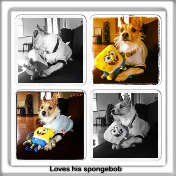 leeshyk9's tweet photo. My everything x http://t.co/ox3nERaH http://t.co/FOrJ9umC