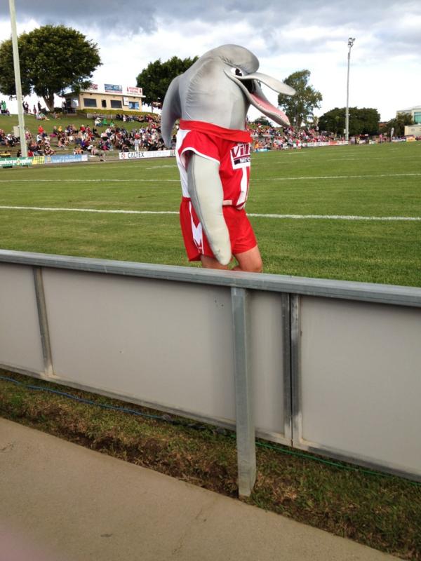 QRL Unofficial tweet media