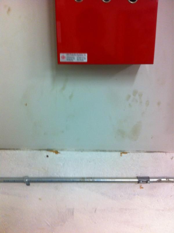 RyanSebastopoli's tweet image. well, it looks like someone was taking it in the ass in the backroom at work hahaha #cvsproblems