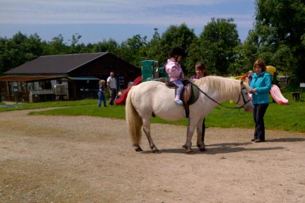 Pony Rides at #matlock