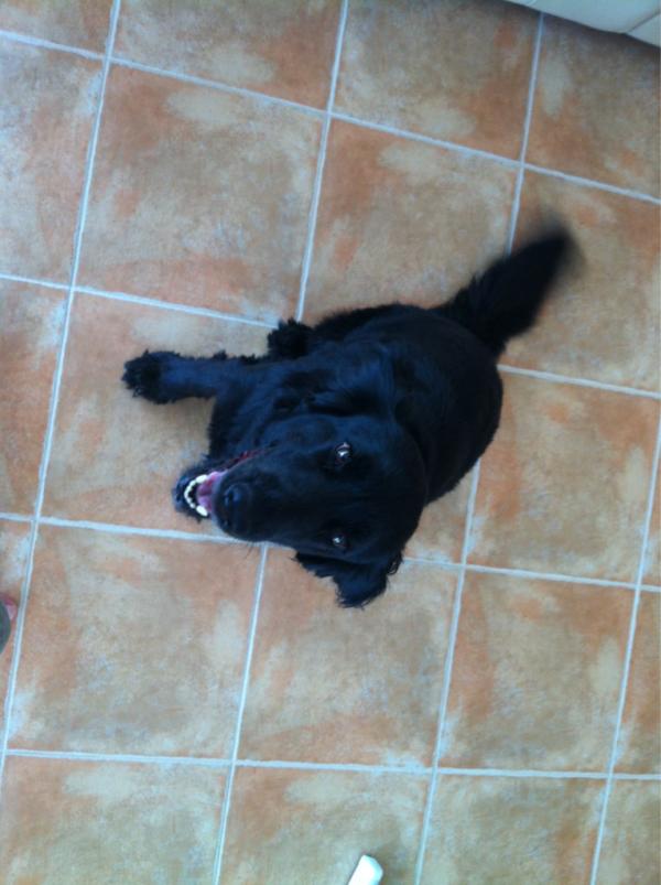 richardbooth24's tweet photo. @NATPEARSON_ you can have this one! I'll bring her back with me. http://t.co/S4Gw8Uj