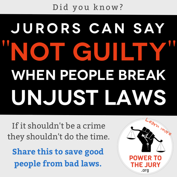 The best defense against dumb laws: smart jurors. Juries can say "not guilty," even if a law was broken.