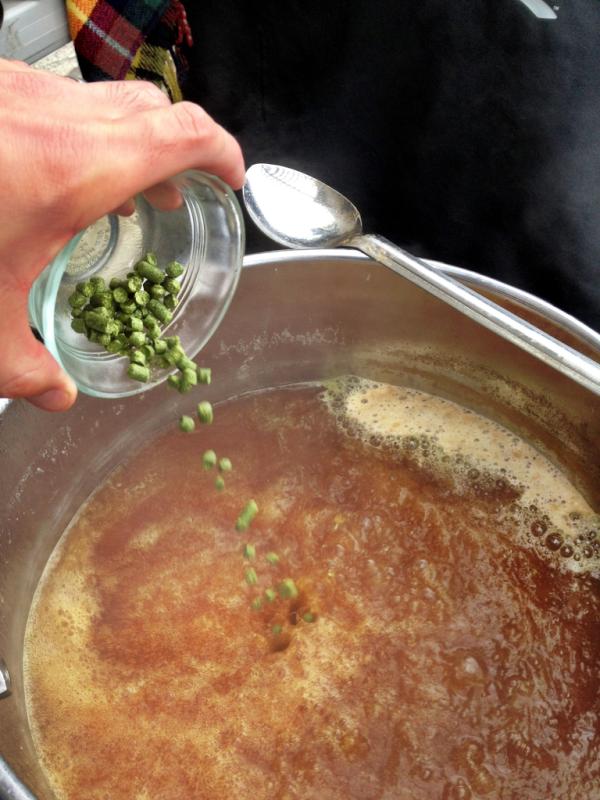 toddbrewer tweet media