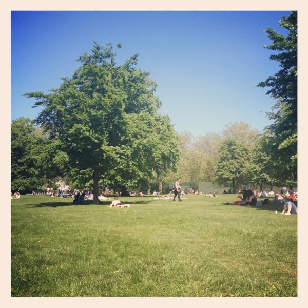 themovingrail's tweet image. Pretty Hyde Park x