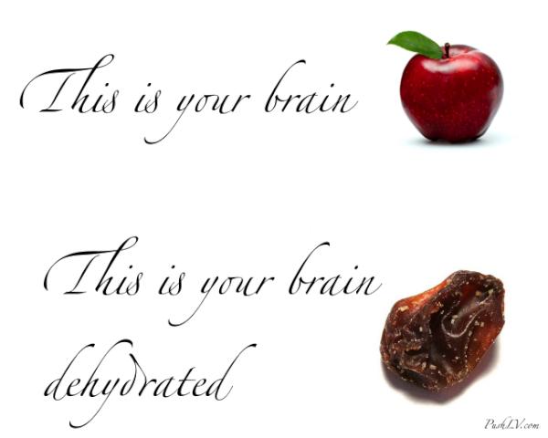 PushPlease's tweet image. This is your brain

This is your brain dehydrated