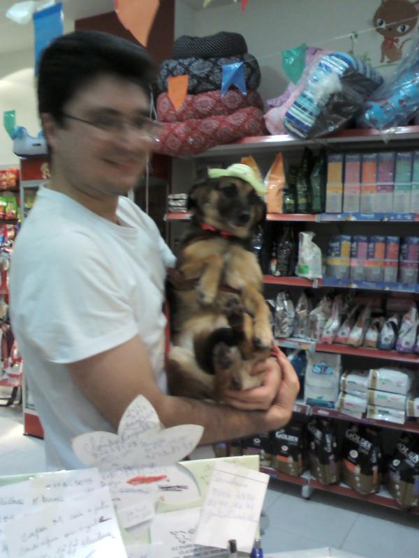 PetStoreCatete's tweet photo. ESTA É A FIONA. http://t.co/ugsgxgeP