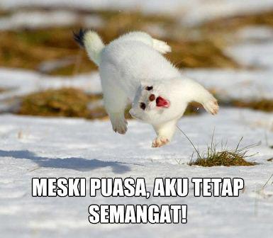 Ngalam Kuliner (@ngalamkuliner) on Twitter photo 