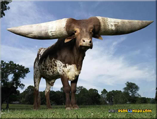 tu novia puta tweet media