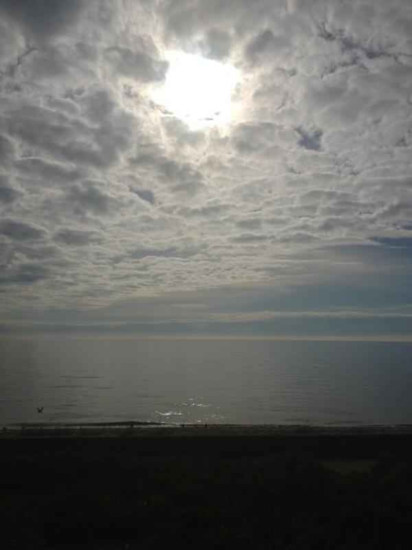 Barrie Lester tweet media