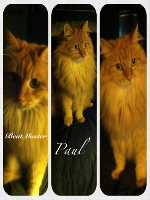 BeatmasterPaul's tweet image. Epic album cover
#BeatMaster