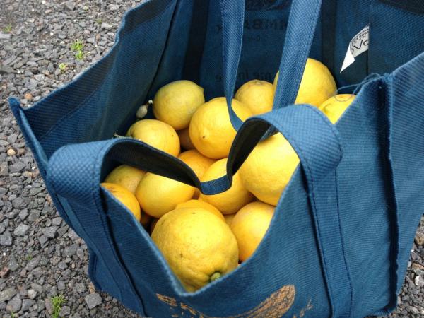 Paul Holtschke tweet media