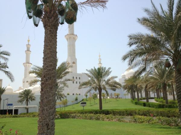 iamrana's tweet photo. #ShaikhZayedGrandMosque #AbuDhabi http://t.co/azYDJ21S