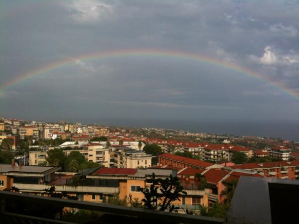 Giovanna Sollima tweet media