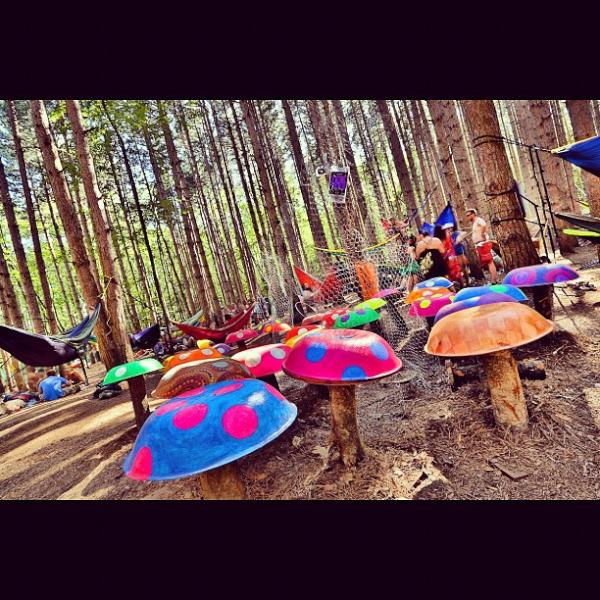 Invalid Account (Invalid_account) Twitter