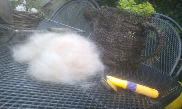 SanderMegens's tweet photo. Kaal konijn nu? http://t.co/tx6ndZUS