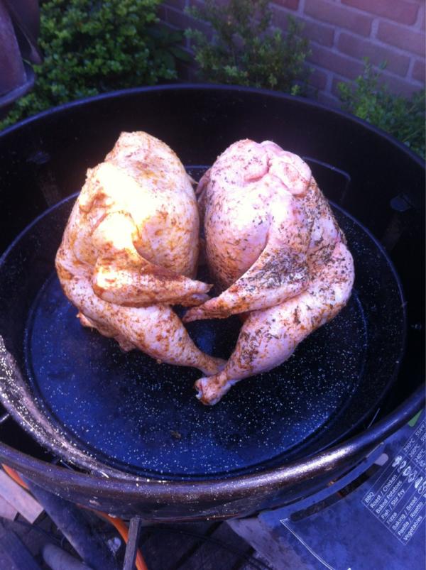 OpdeProef's tweet image. Wat een schatjes hè???!!!!
Dancing beercan chickens hahaha!!!